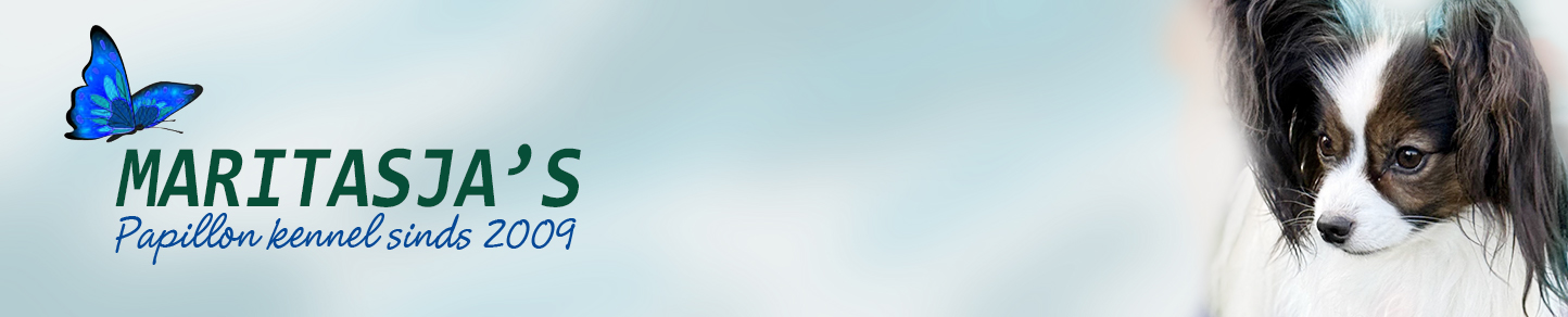 Maritasja’s papillons Noordwolde